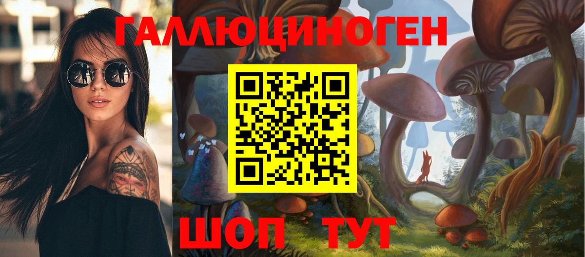 купить закладку  Вход с VPN  Чехов  Псилоцибиновые грибы Psilocybe 